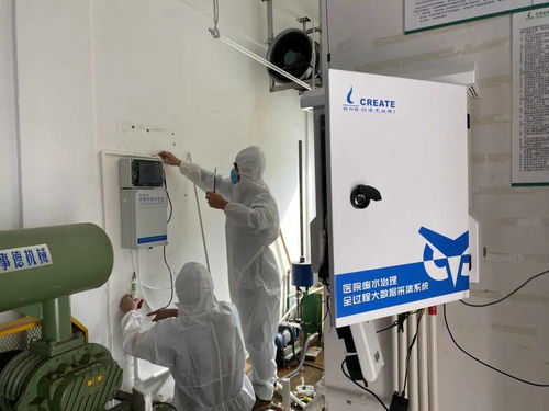 春節堅守，步履不停 桂城企業20名員工的崗位與數據處理服務